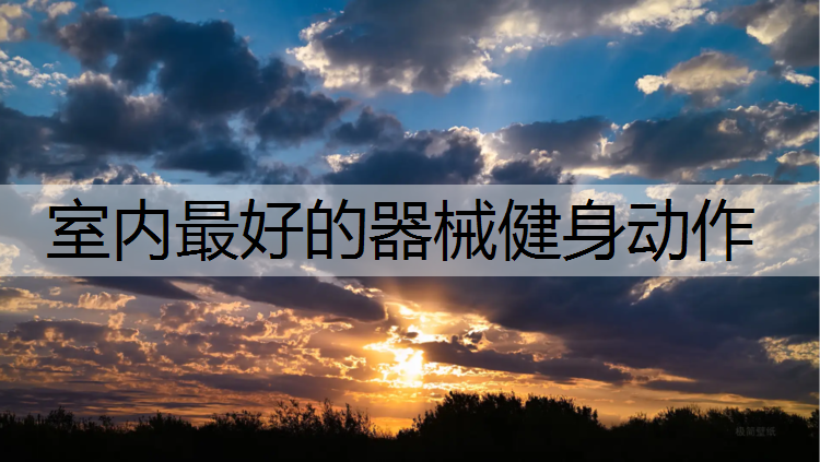室内最好的器械健身动作