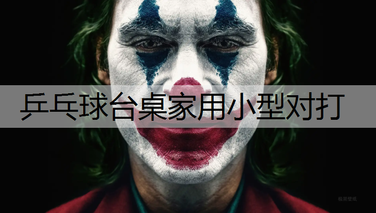 乒乓球台桌家用小型对打