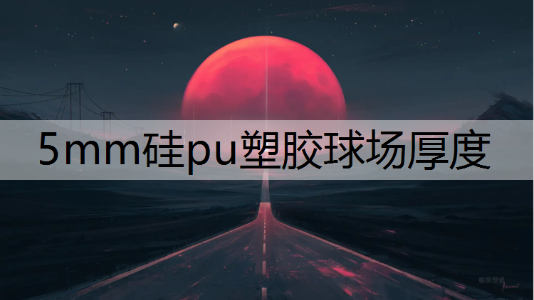 5mm硅pu塑胶球场厚度
