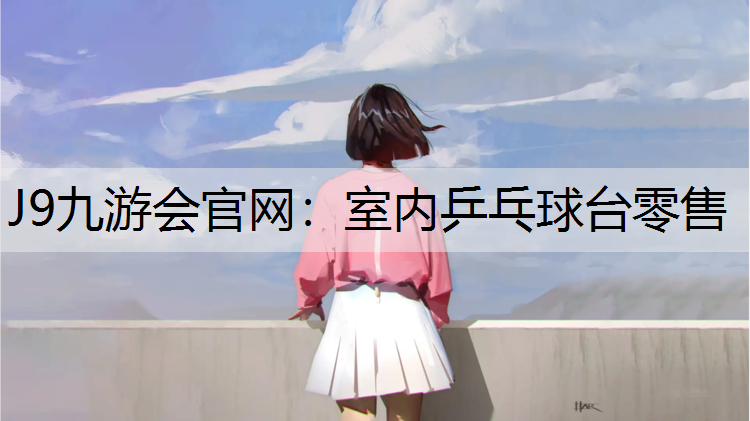 室内乒乓球台零售
