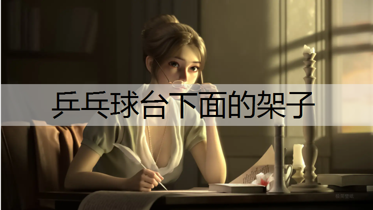 乒乓球台下面的架子