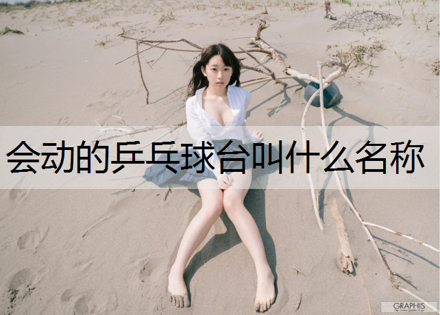会动的乒乓球台叫什么名称