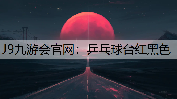 乒乓球台红黑色