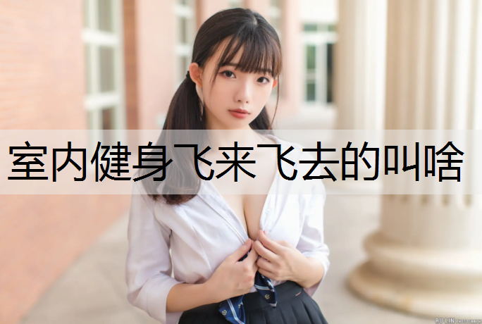 室内健身飞来飞去的叫啥